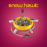 اجاق کمپینگ پر قدرت اسنوهاک کد SN-C6189