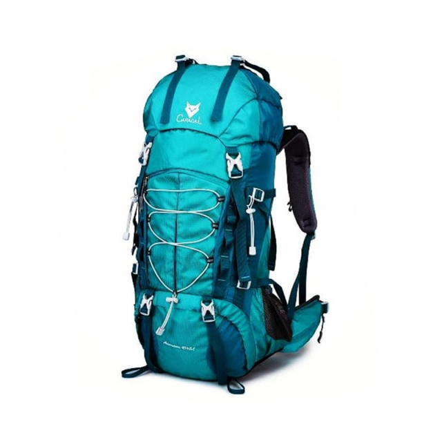 Caracal 45+5 Liter Hiking Backpack CA_B4006 ARIOS